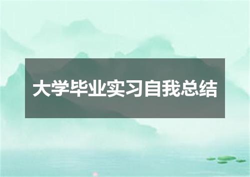 大学毕业实习自我总结