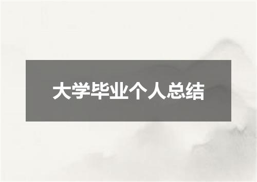 大学毕业个人总结