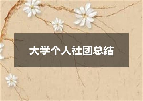大学个人社团总结