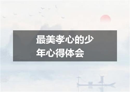 最美孝心的少年心得体会