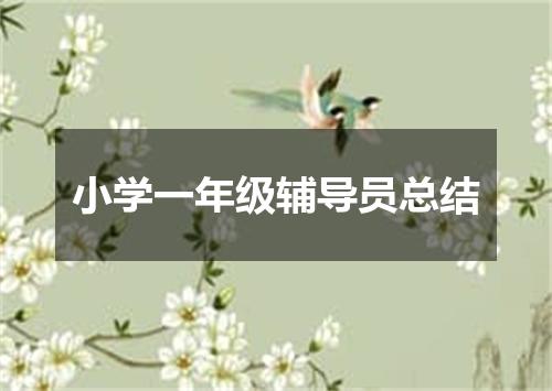小学一年级辅导员总结
