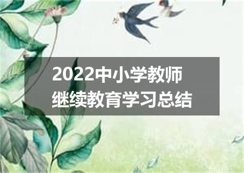 2022中小学教师继续教育学习总结