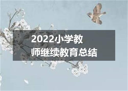 2022小学教师继续教育总结