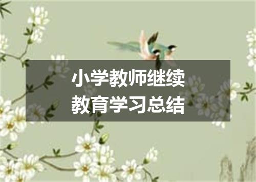 小学教师继续教育学习总结