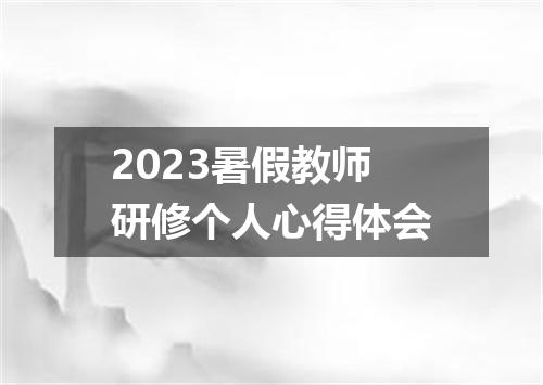 2023暑假教师研修个人心得体会