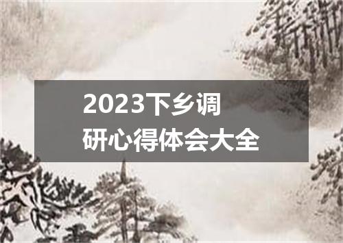 2023下乡调研心得体会大全