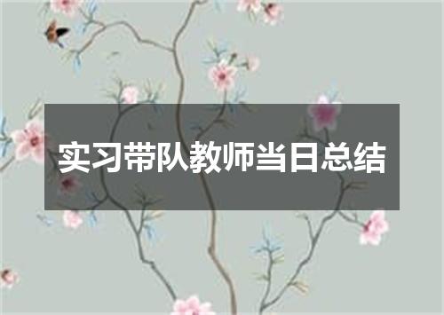 实习带队教师当日总结