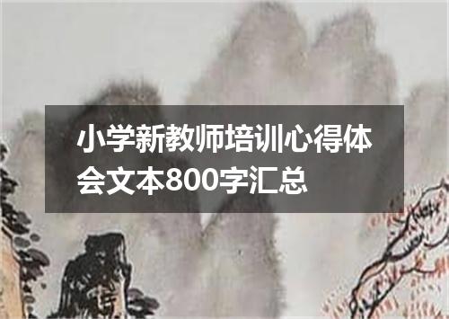 小学新教师培训心得体会文本800字汇总