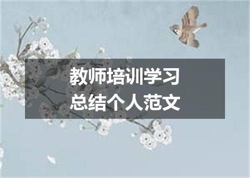 教师培训学习总结个人范文