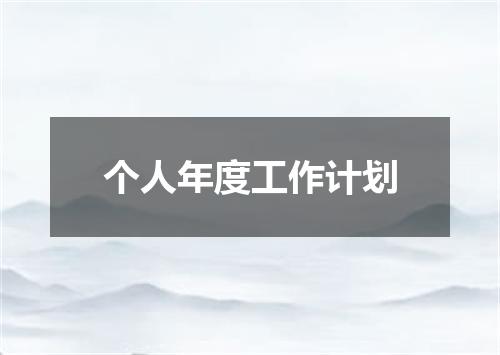 个人年度工作计划