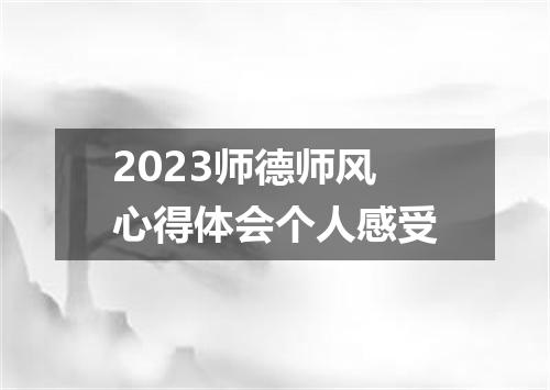 2023师德师风心得体会个人感受