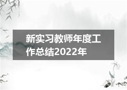 新实习教师年度工作总结2022年