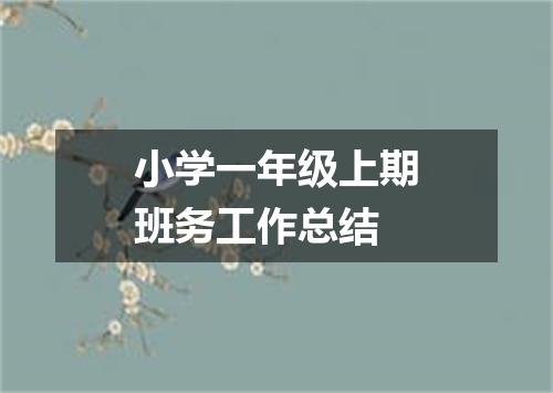 小学一年级上期班务工作总结