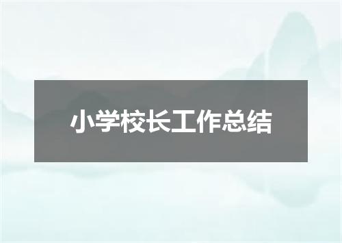 小学校长工作总结