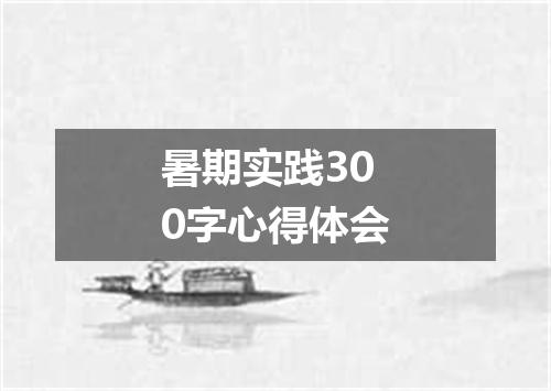 暑期实践300字心得体会