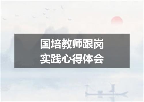 国培教师跟岗实践心得体会