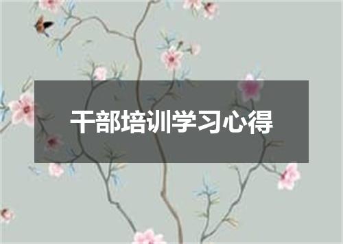 干部培训学习心得