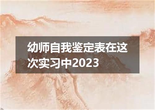 幼师自我鉴定表在这次实习中2023