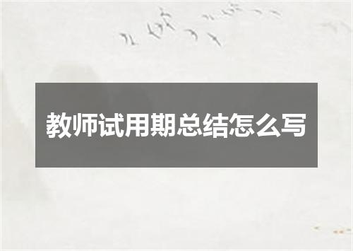 教师试用期总结怎么写