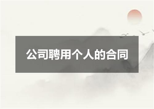 公司聘用个人的合同