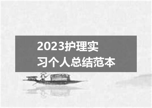 2023护理实习个人总结范本
