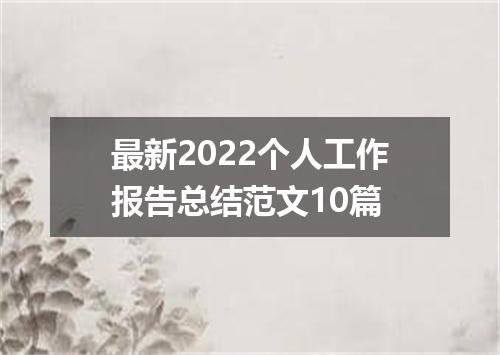最新2022个人工作报告总结范文10篇