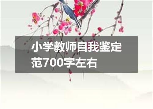 小学教师自我鉴定范700字左右