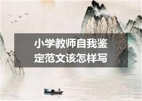 小学教师自我鉴定范文该怎样写