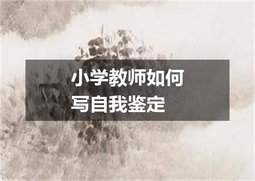 小学教师如何写自我鉴定