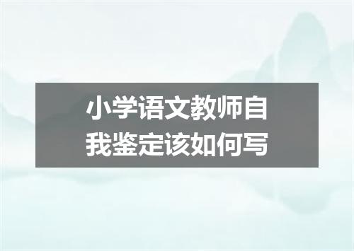 小学语文教师自我鉴定该如何写