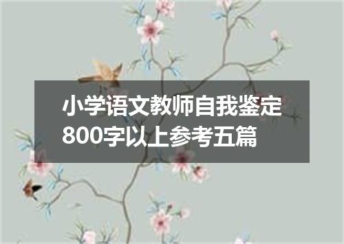 小学语文教师自我鉴定800字以上参考五篇