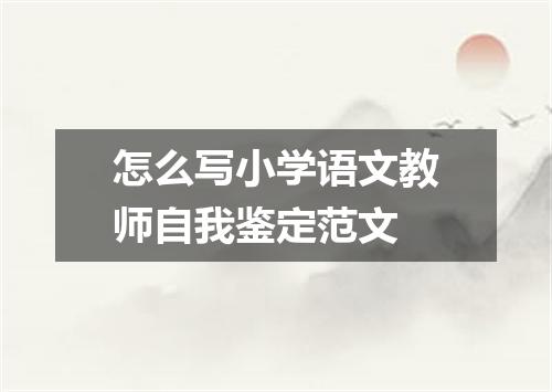 怎么写小学语文教师自我鉴定范文