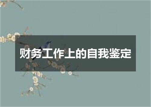 财务工作上的自我鉴定