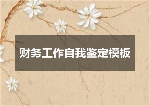财务工作自我鉴定模板