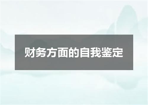 财务方面的自我鉴定