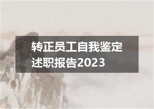 转正员工自我鉴定述职报告2023