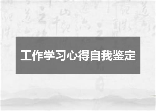 工作学习心得自我鉴定