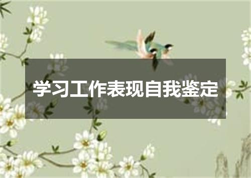 学习工作表现自我鉴定