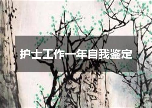 护士工作一年自我鉴定