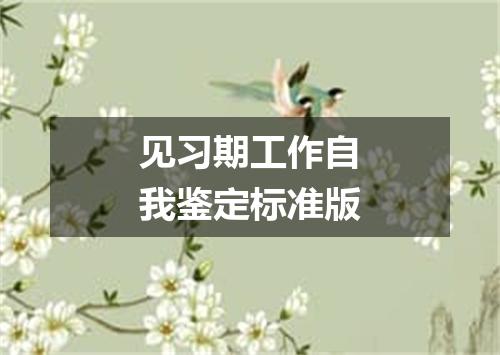 见习期工作自我鉴定标准版