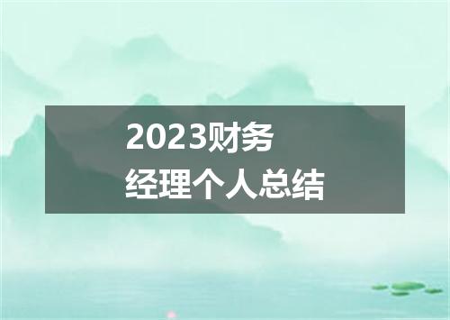 2023财务经理个人总结