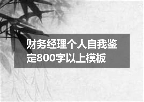 财务经理个人自我鉴定800字以上模板