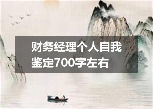 财务经理个人自我鉴定700字左右