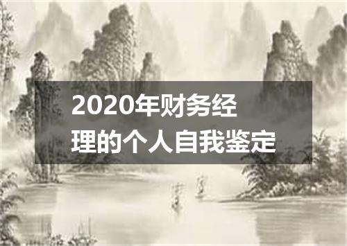 2020年财务经理的个人自我鉴定