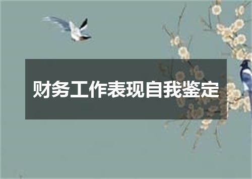 财务工作表现自我鉴定