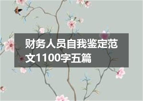 财务人员自我鉴定范文1100字五篇