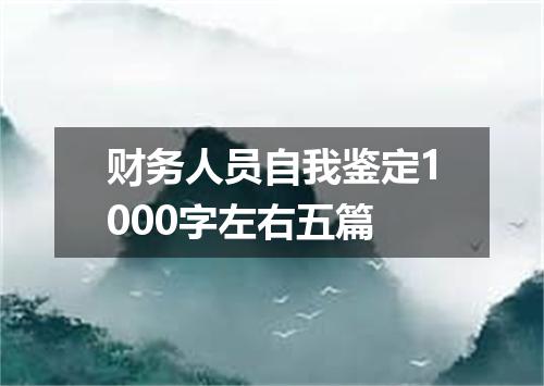 财务人员自我鉴定1000字左右五篇