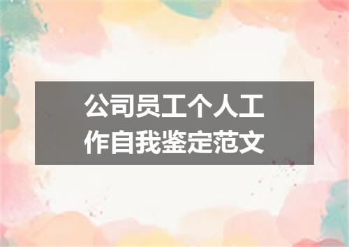 公司员工个人工作自我鉴定范文