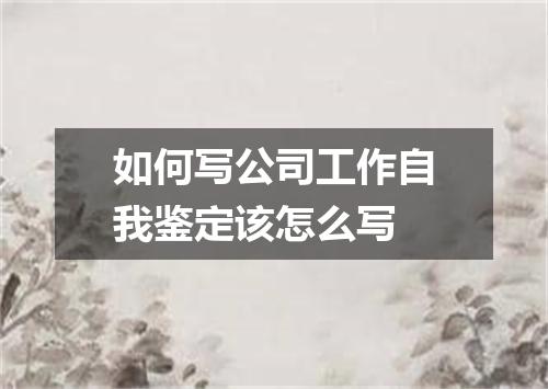 如何写公司工作自我鉴定该怎么写