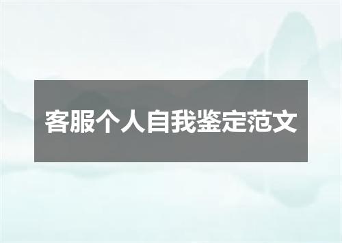 客服个人自我鉴定范文